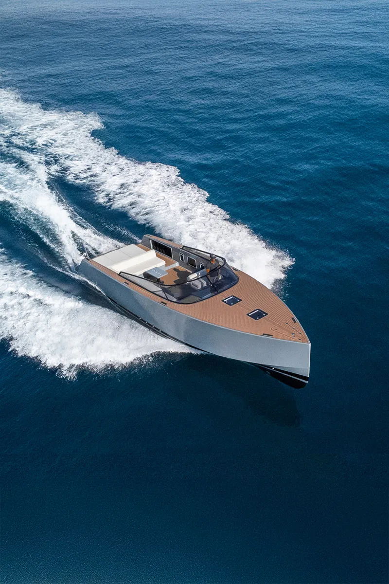 Paloma 10