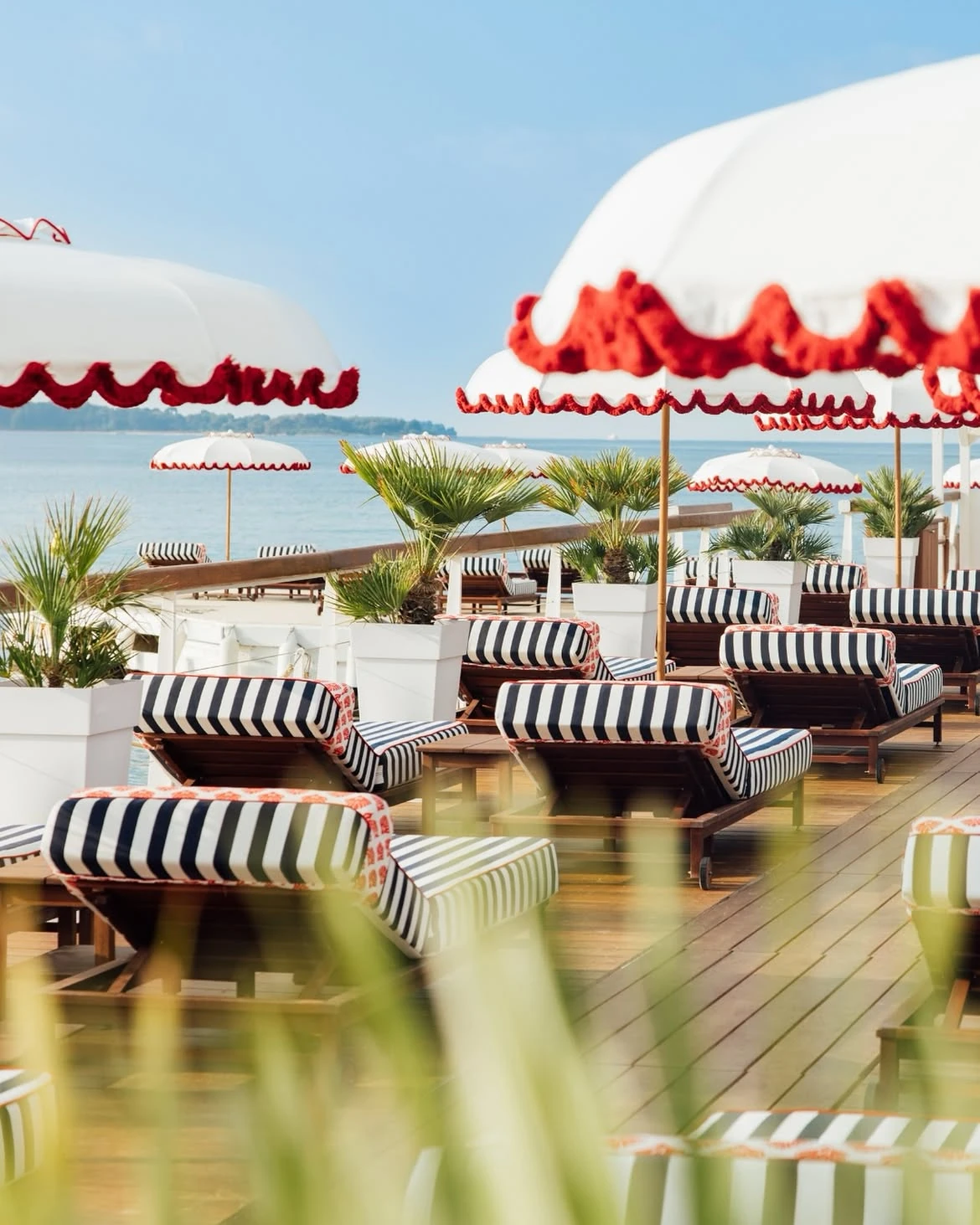 Ciro's Cannes — 5