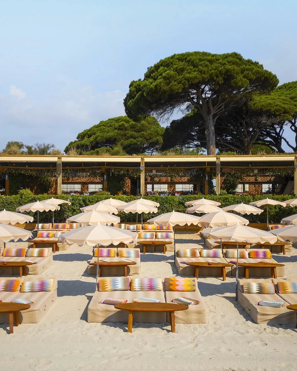 Jardin Tropezina — 2