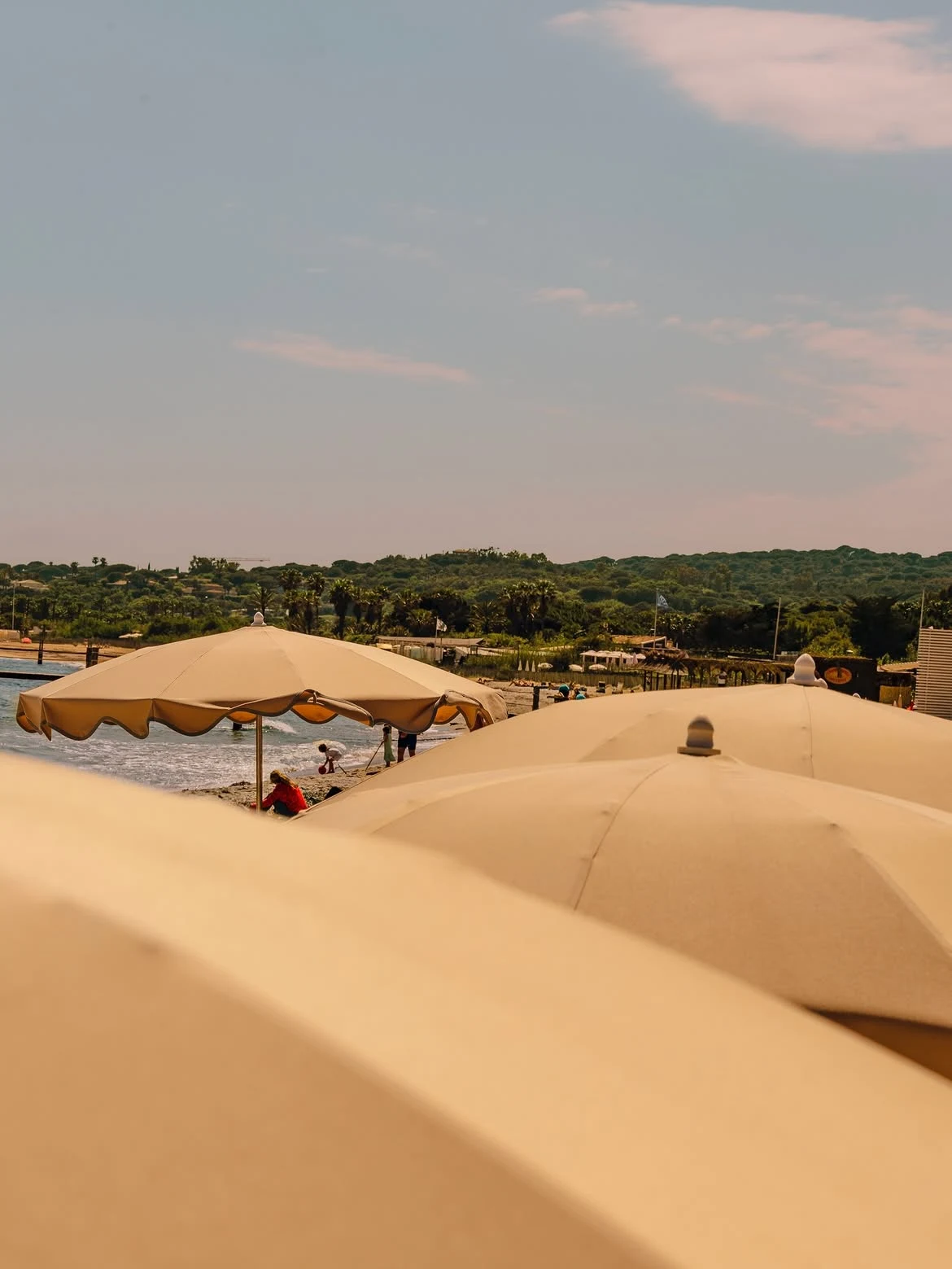 Jardin Tropezina — 4