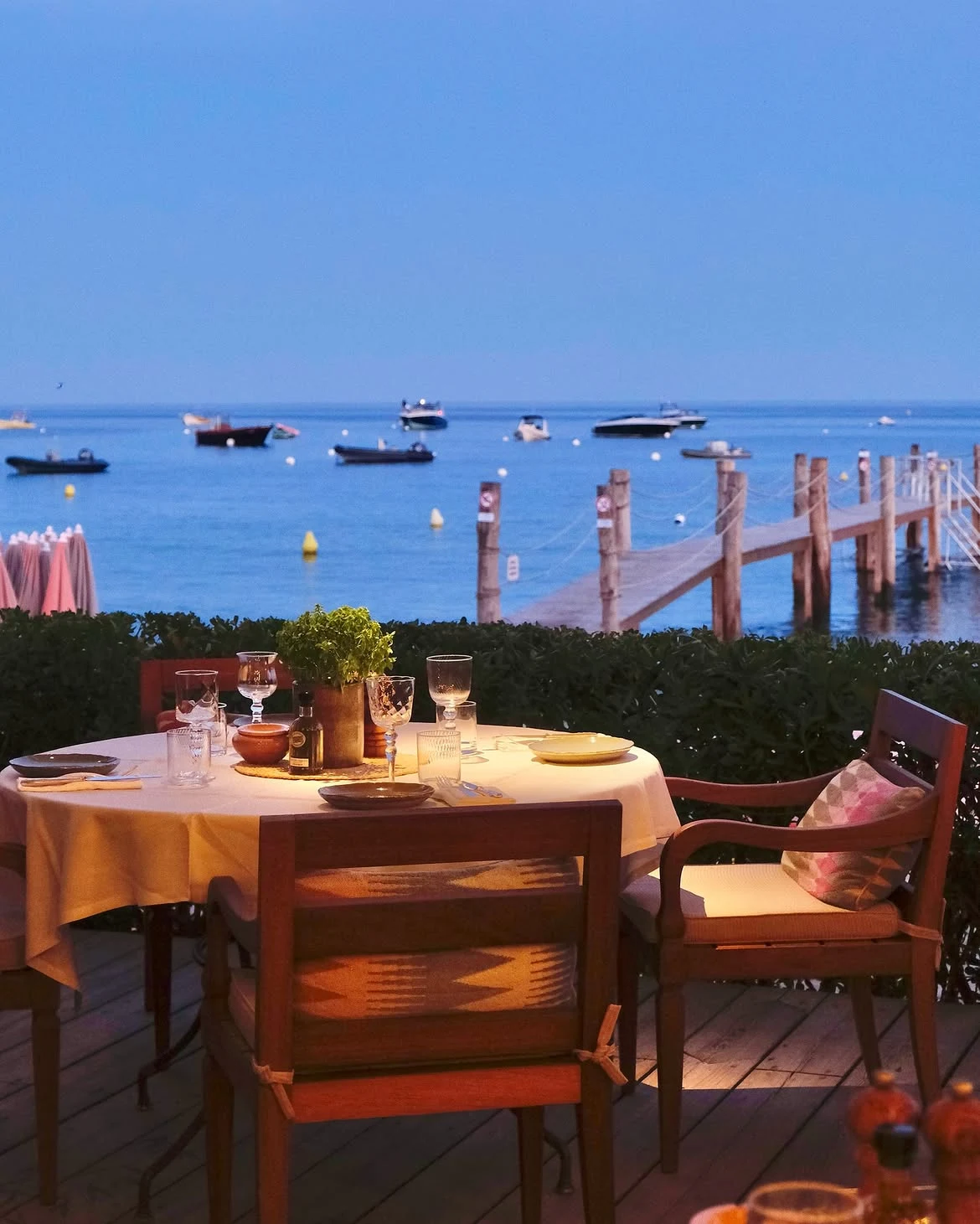 Jardin Tropezina — 7