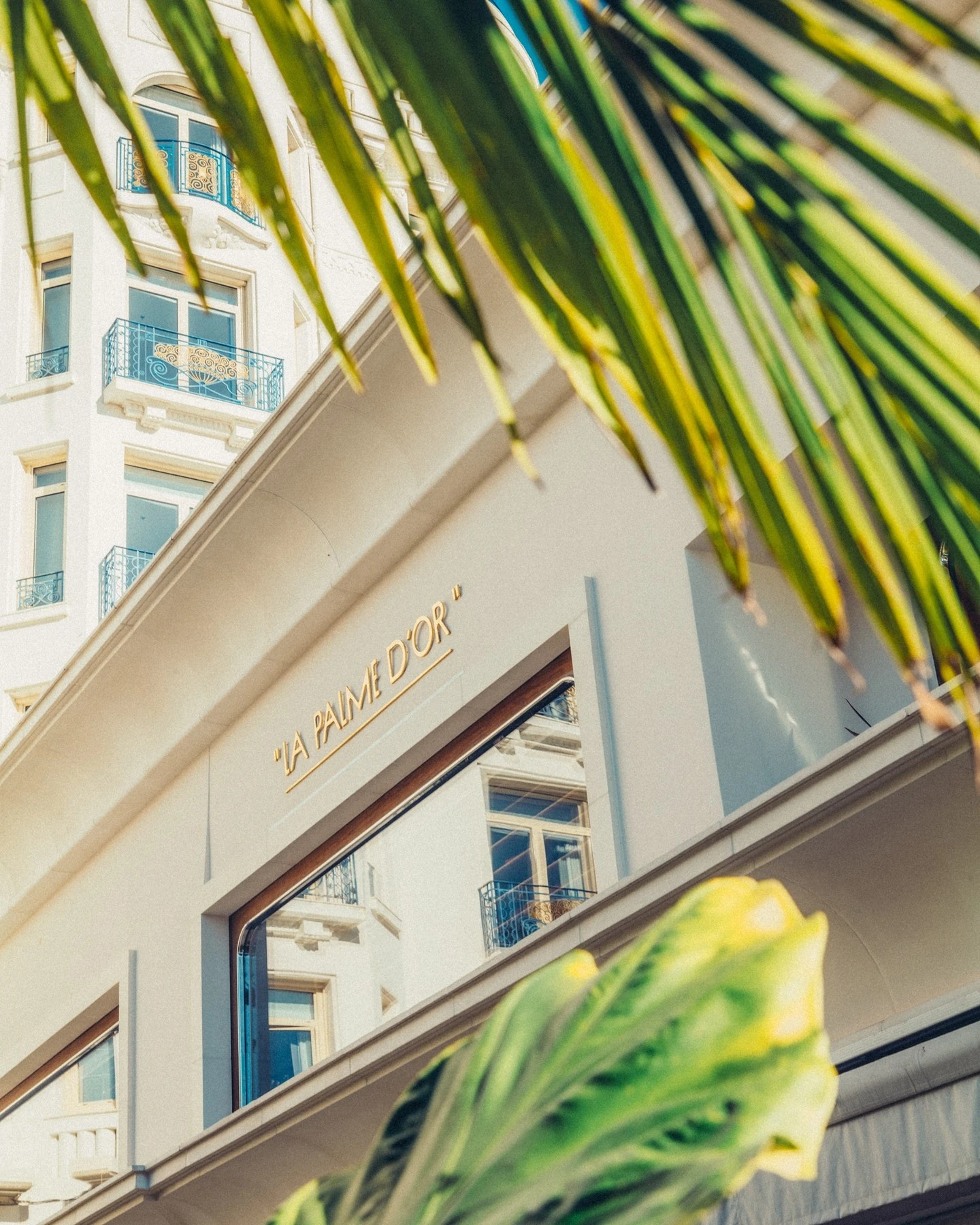 La Palme d'Or