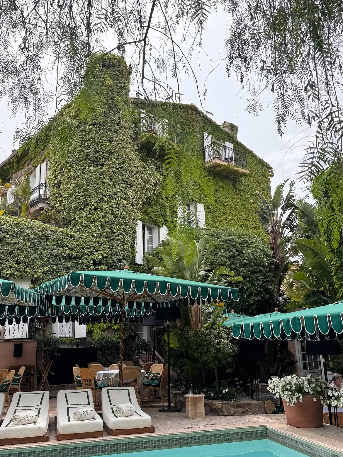Le Patio — 6