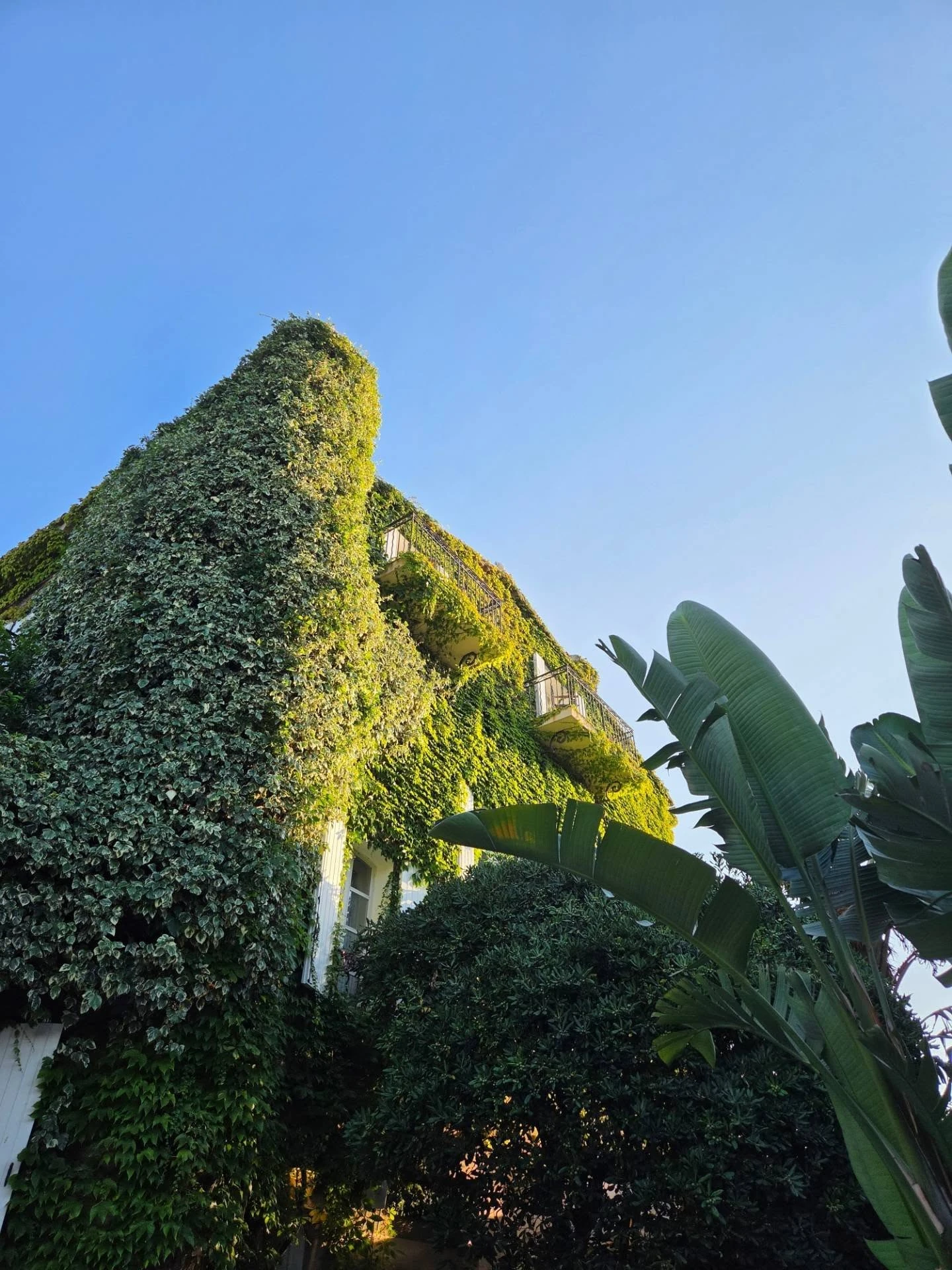 Hôtel Le Yaca Saint-Tropez — 8