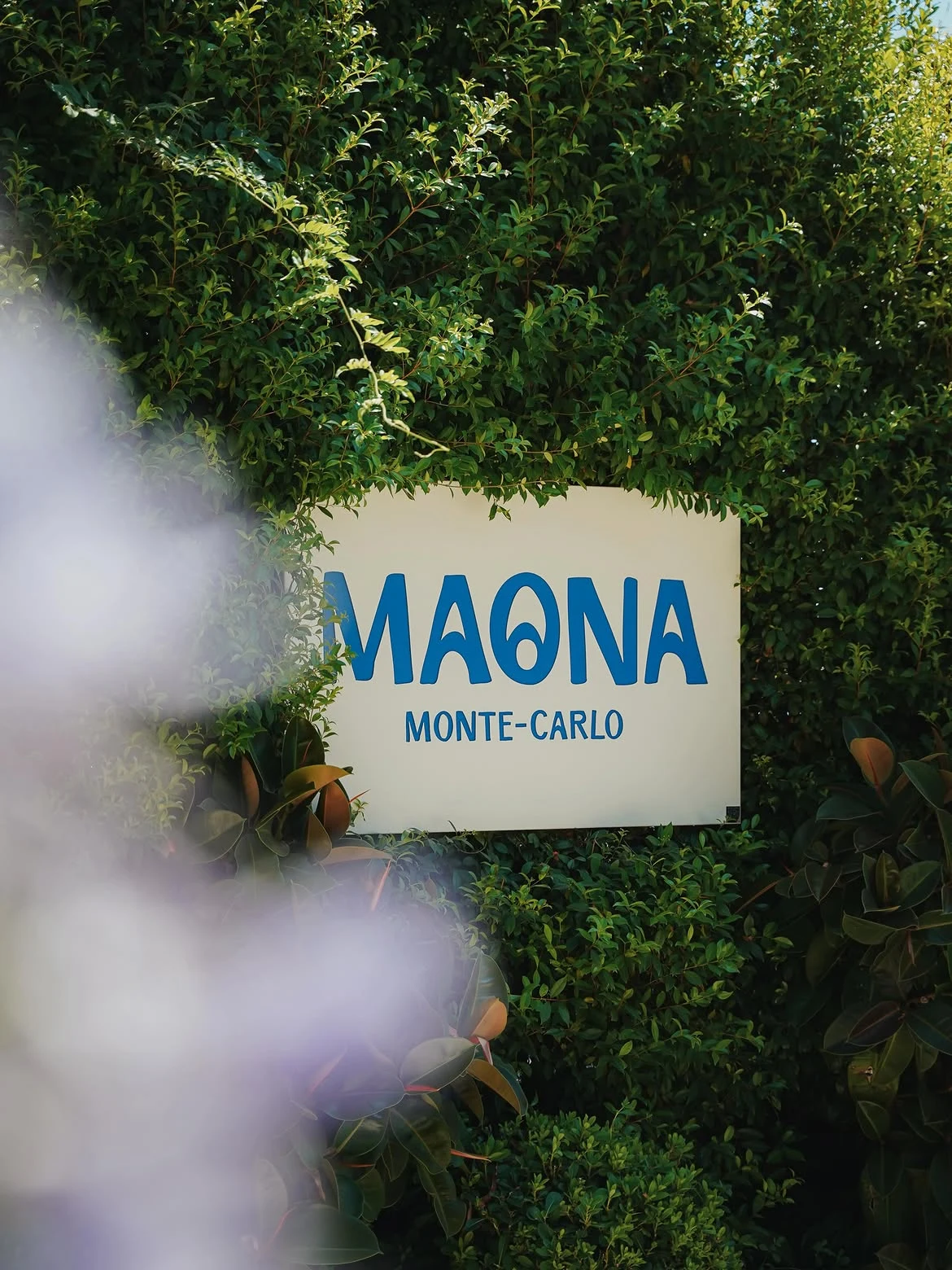 Maona Monte-Carlo — 9