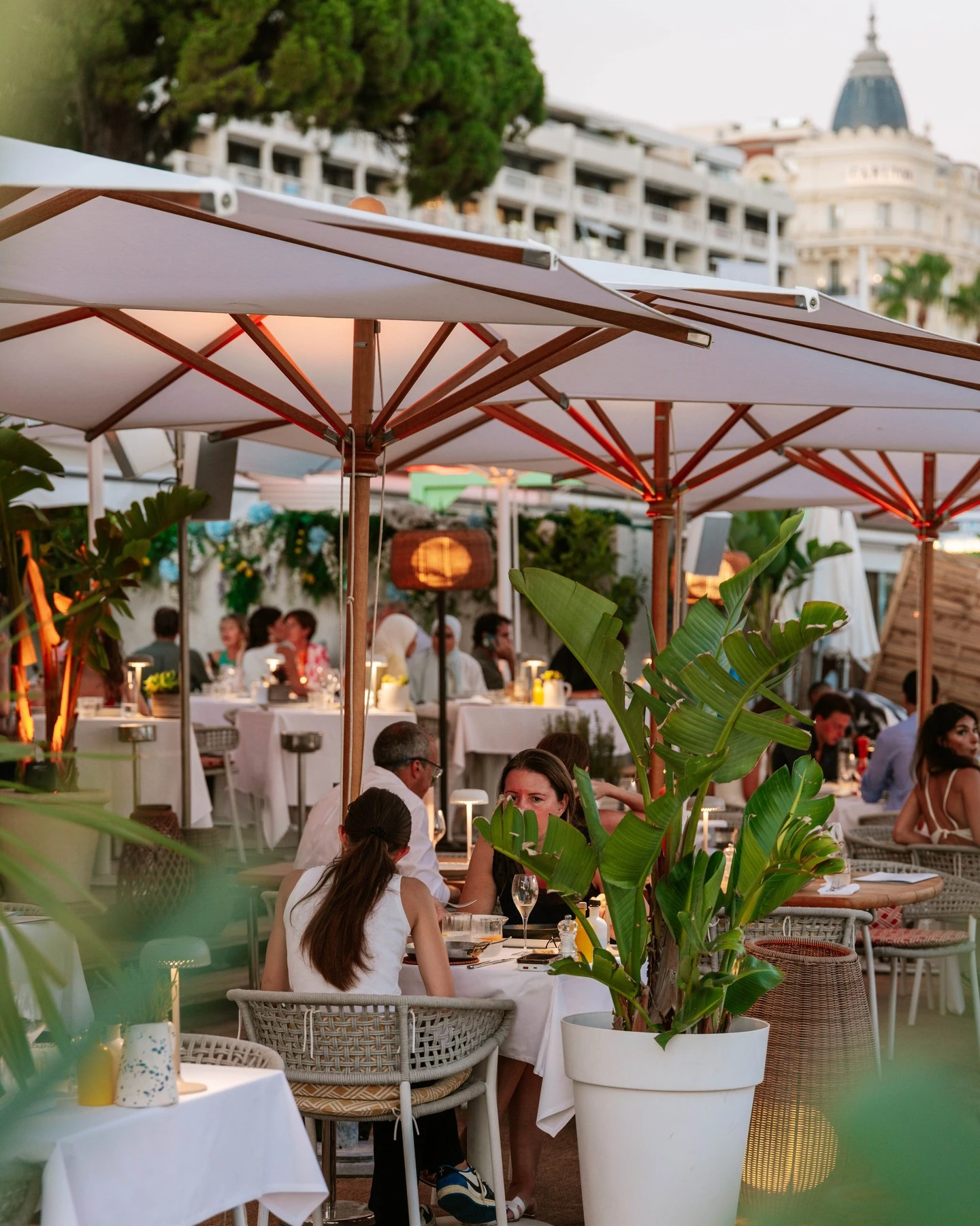 Mondrian Cannes — 5