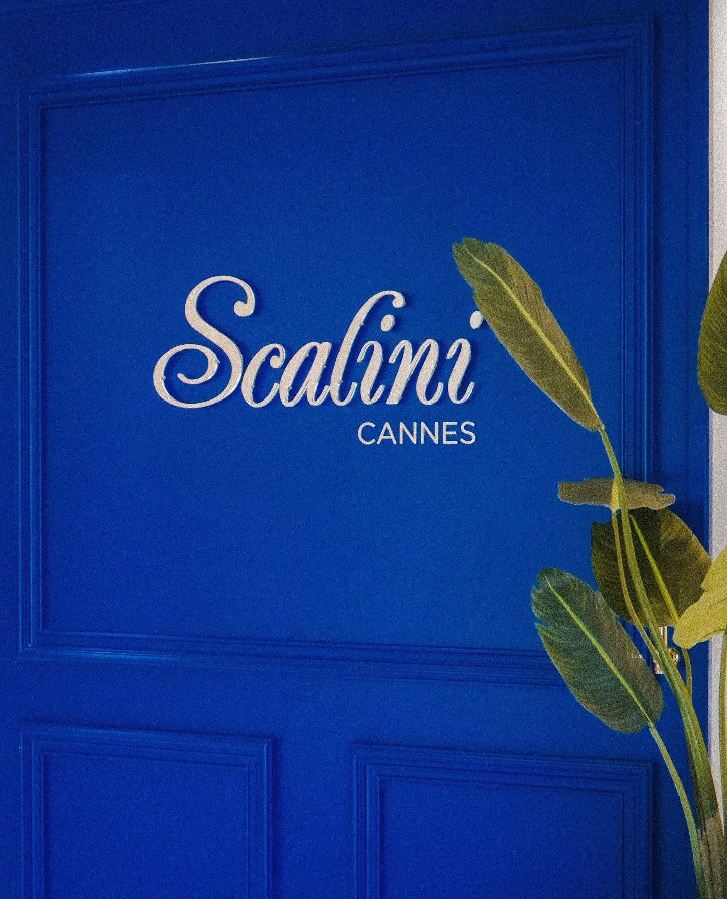 Scalini