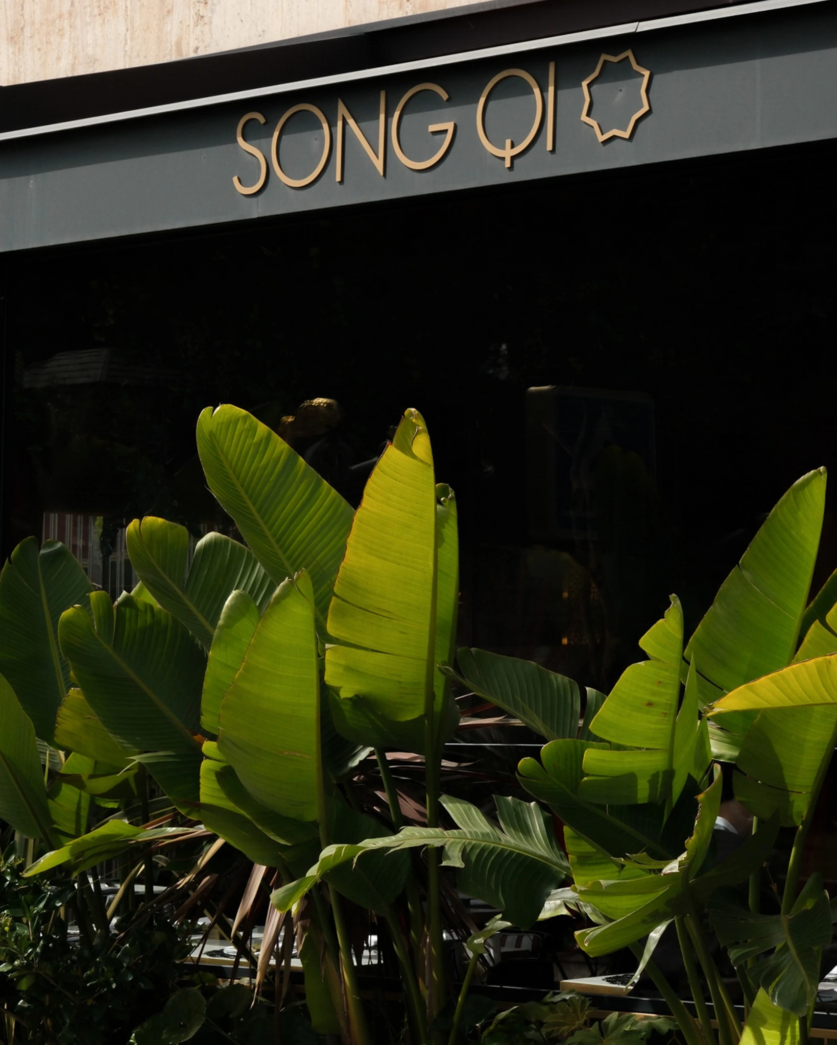 Song Qi — 7