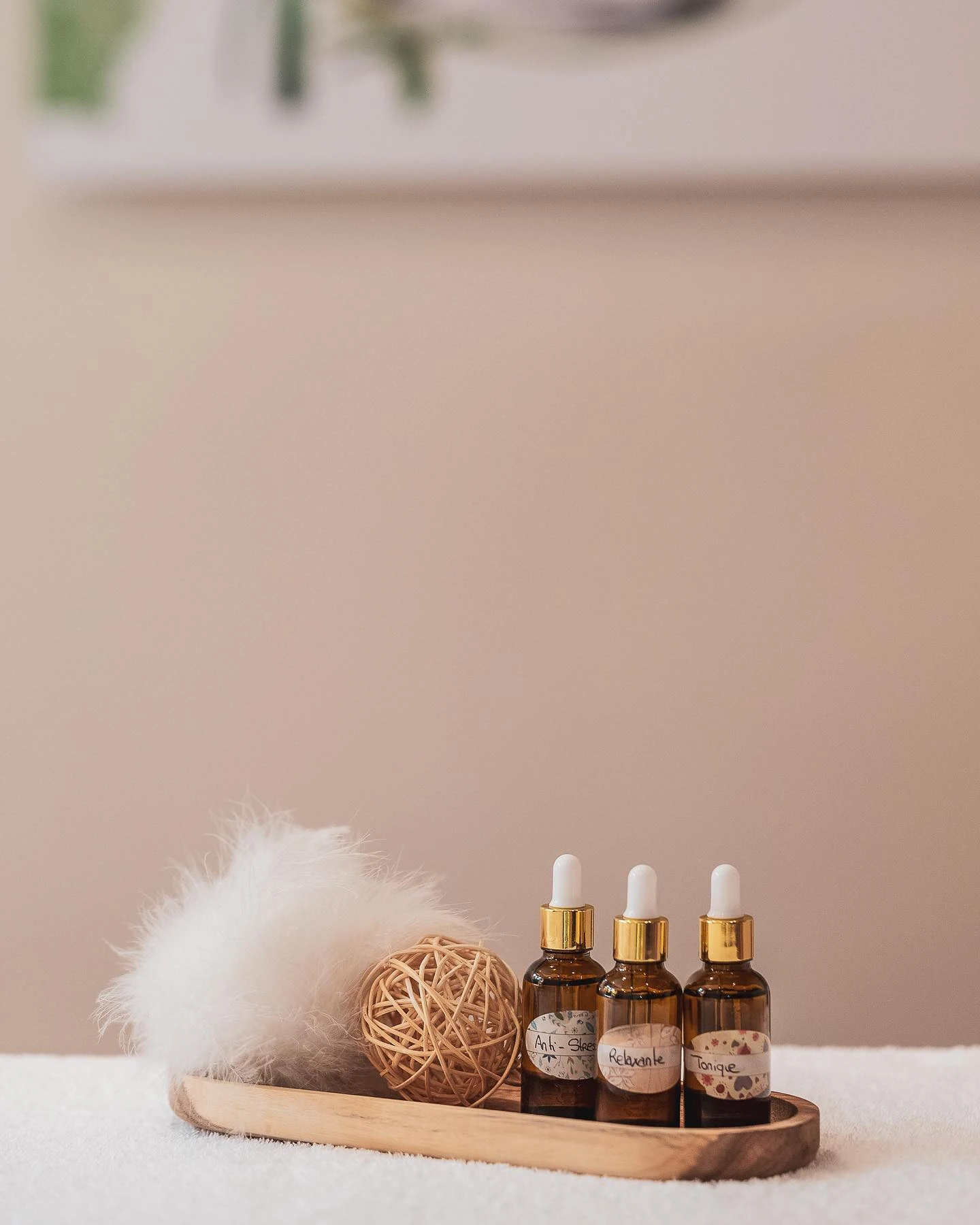 Le Spa Sisley des Barmes de l'Ours — 6